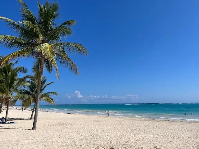公寓 Spacious 1 Bedroom Appartment In Sunny Paradise 蓬塔卡纳